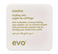 Evo Cassius Cushy Mud Конструирующая Глина 90 Мл