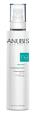 Anubis Barcelona AHA New Even Tonifying Lotion Тонизирующий лосьон 250 мл 