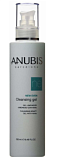 Anubis Barcelona AHA New Even Cleansing Gel 250 мл Очищающий гель 